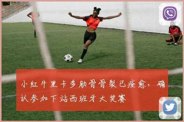 小红牛里卡多肋骨骨裂已痊愈，确认参加下站西班牙大奖赛